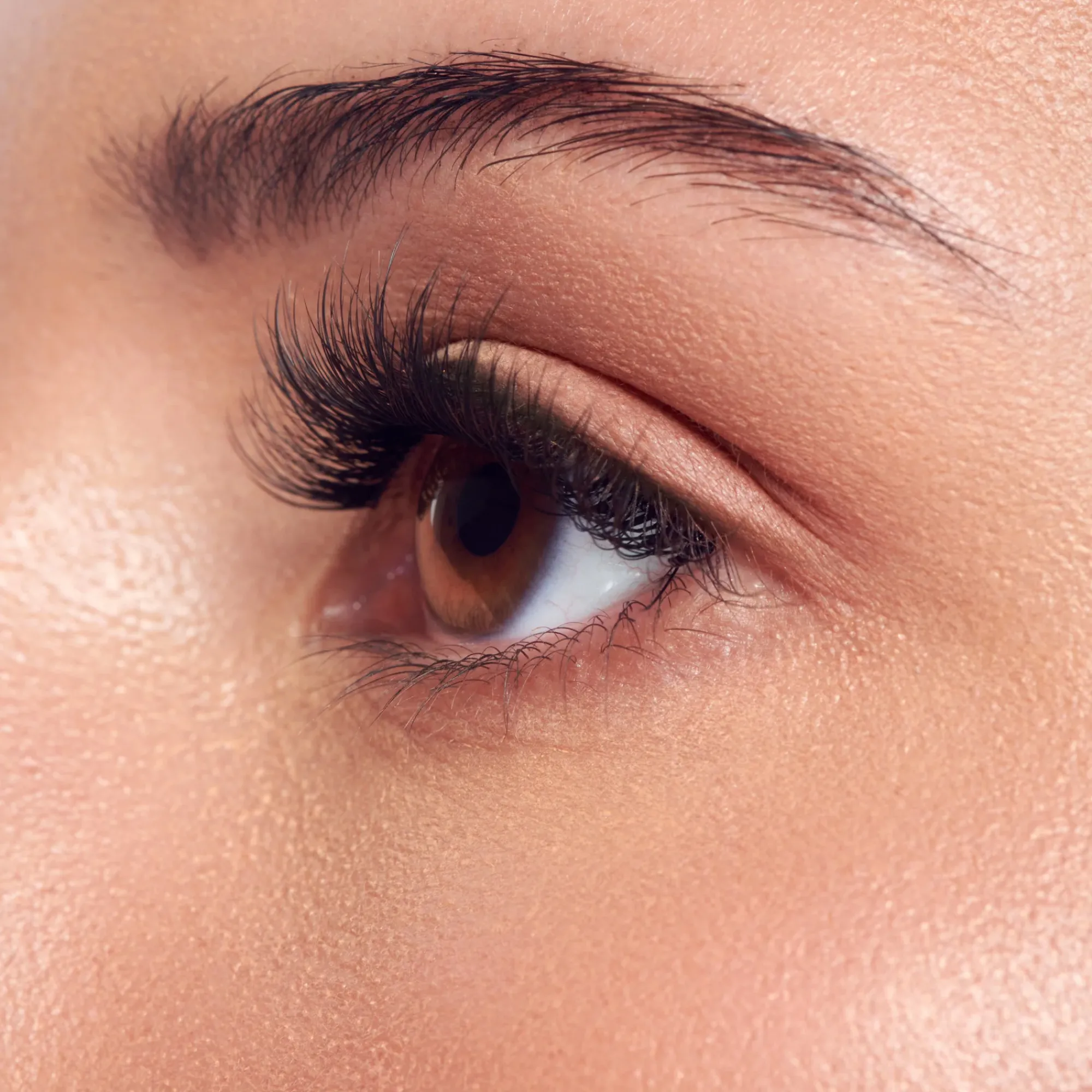 Falsies>Impress Classic Natural | 50 Clusters