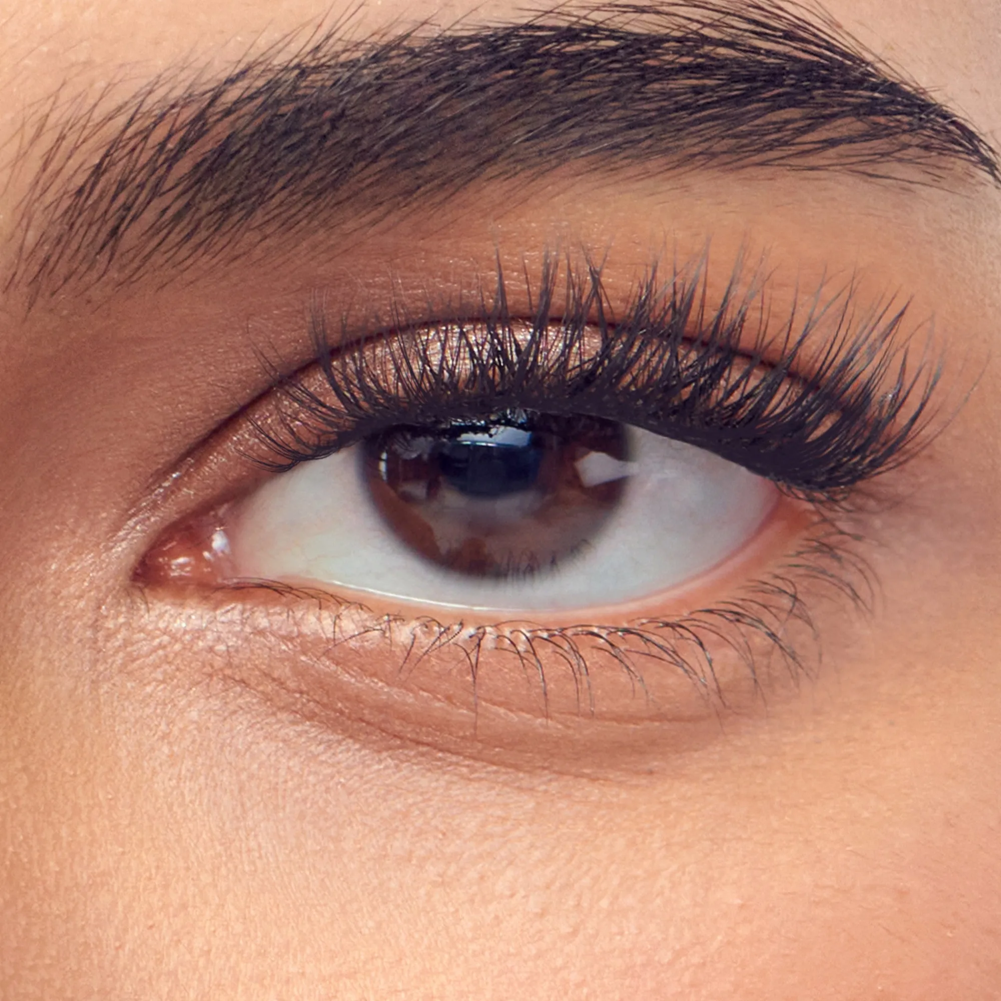 Individual Clusters|Individual Lash Clusters>Impress Classic Natural | 60 Individual Lashes