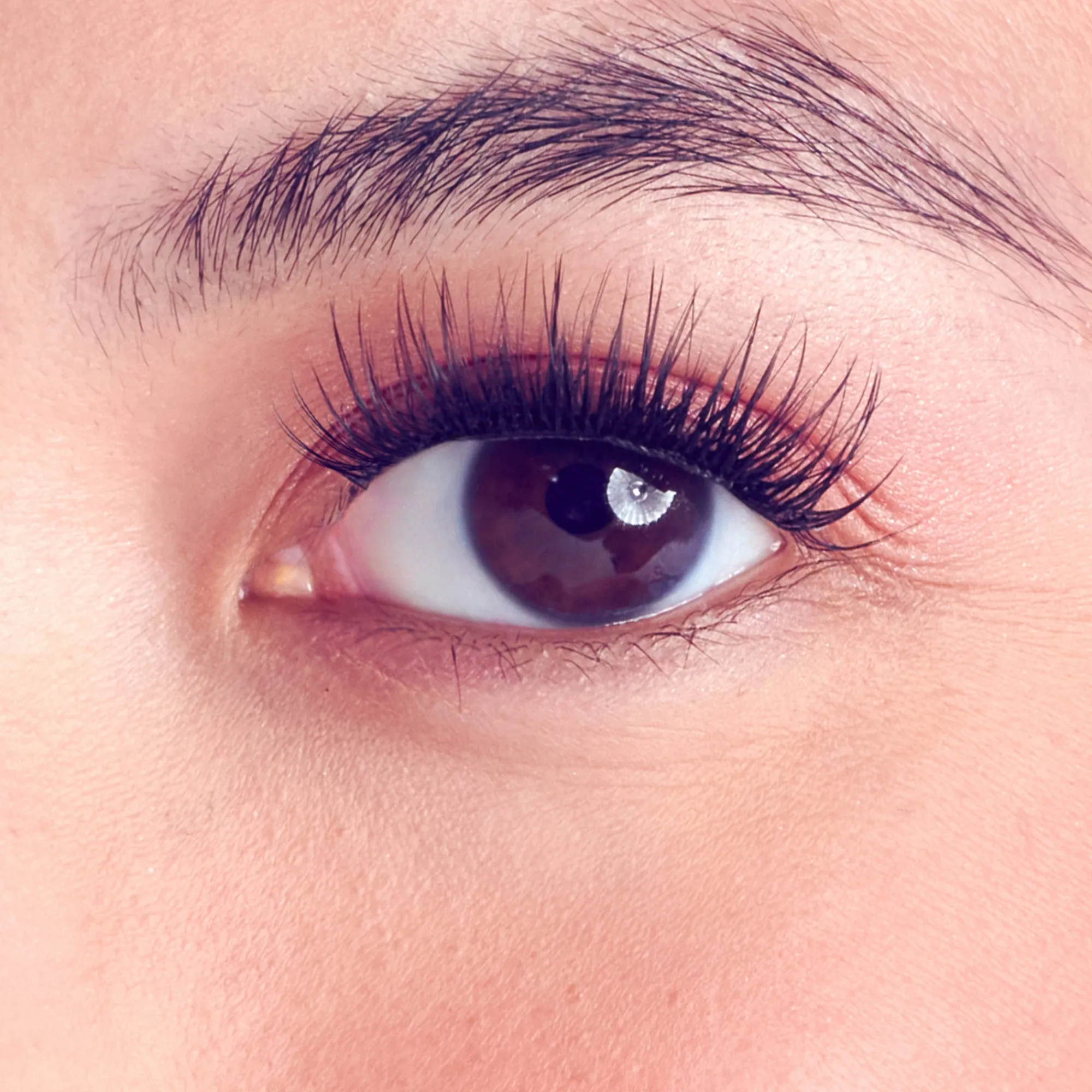 Natural|Wispy>Falscara Classic Natural Wisps | 36 Wisps