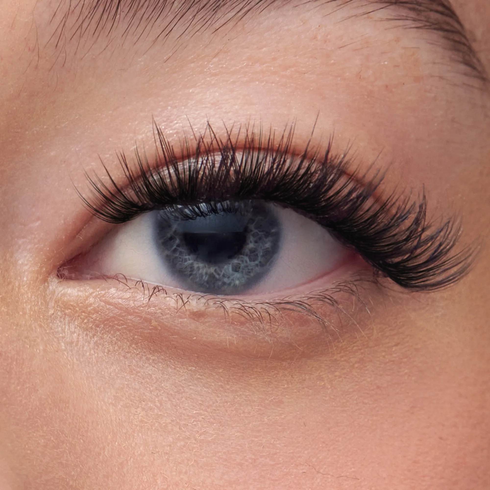 Starter Kits|Falsies>Impress Classic Wispy | 36 Clusters
