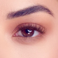 Falscara Studio|Wispy>Falscara Dark Chocolate | 54 Wisps