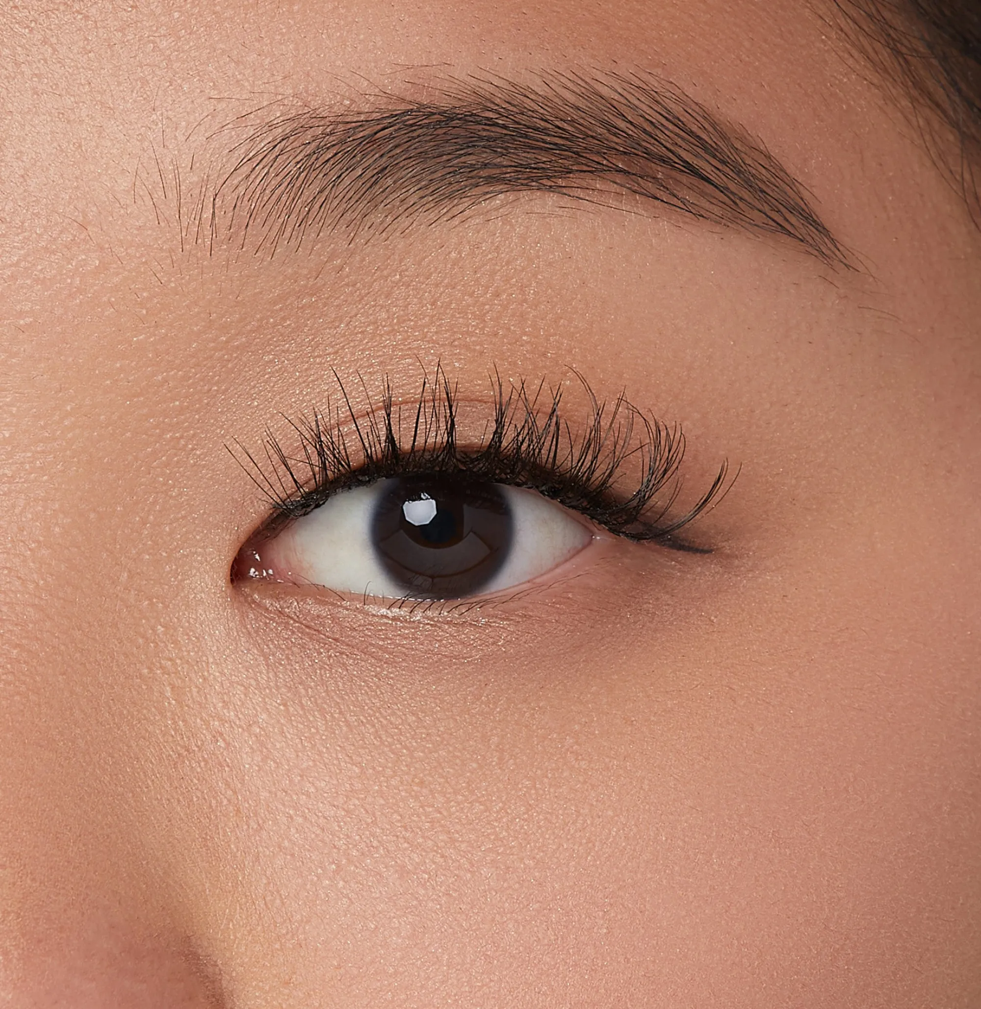 Falsies>Impress Edgy Wispy | 12 Clusters