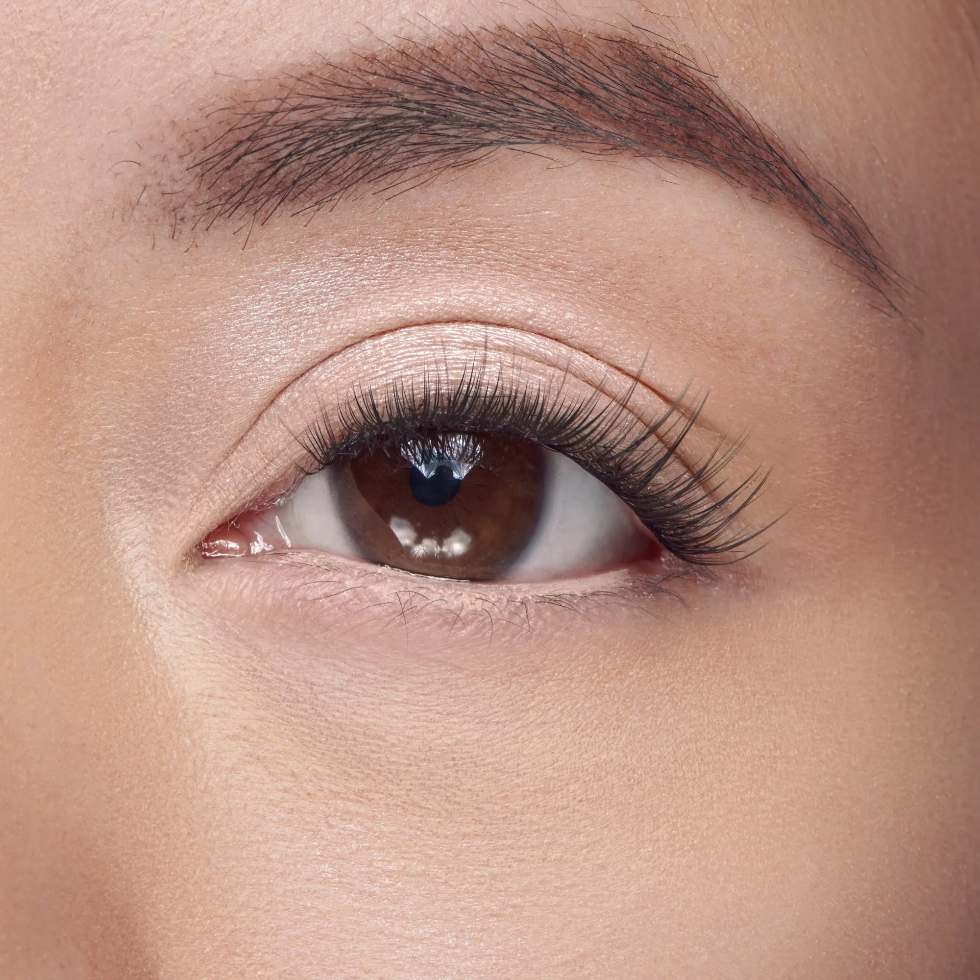 Natural|Wispy>Falscara Lengthening Wisps | 36 Wisps