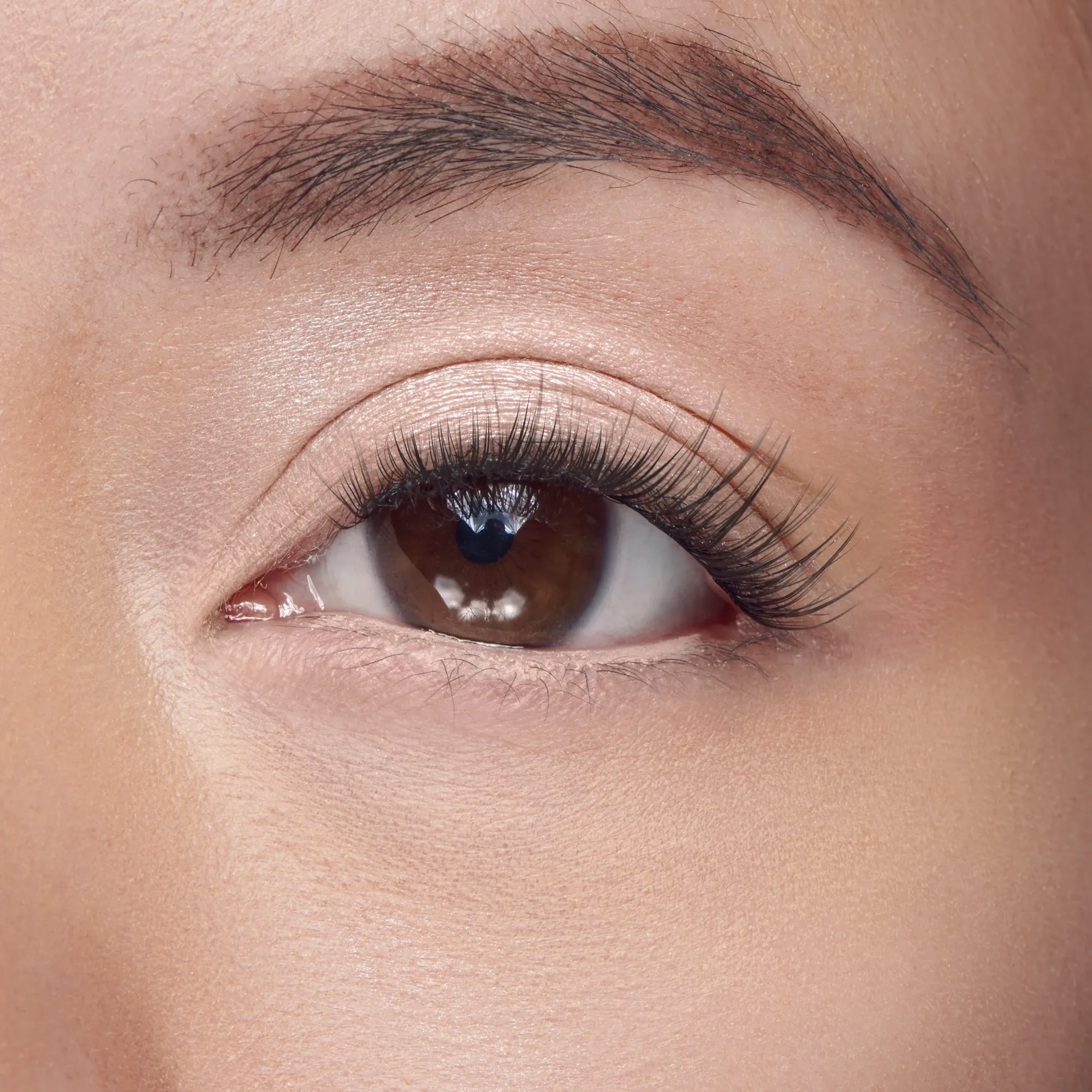 Natural|Wispy>Falscara Lengthening Wisps | 36 Wisps