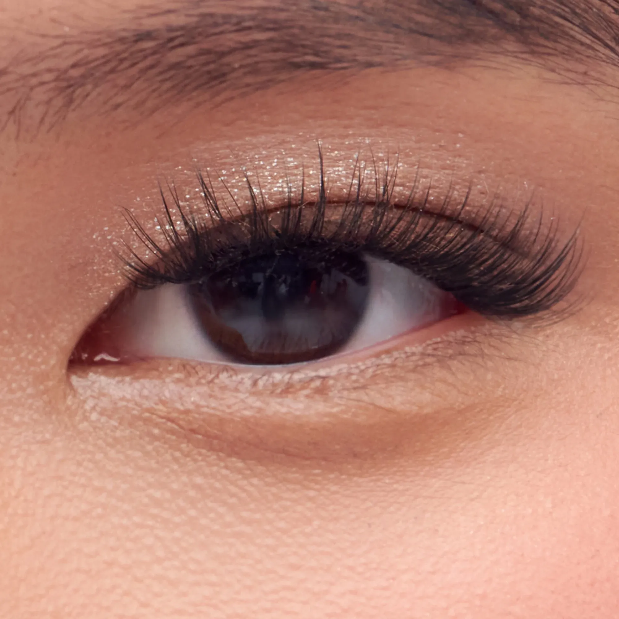 Starter Kits|Falsies>Impress Natural | 36 Clusters