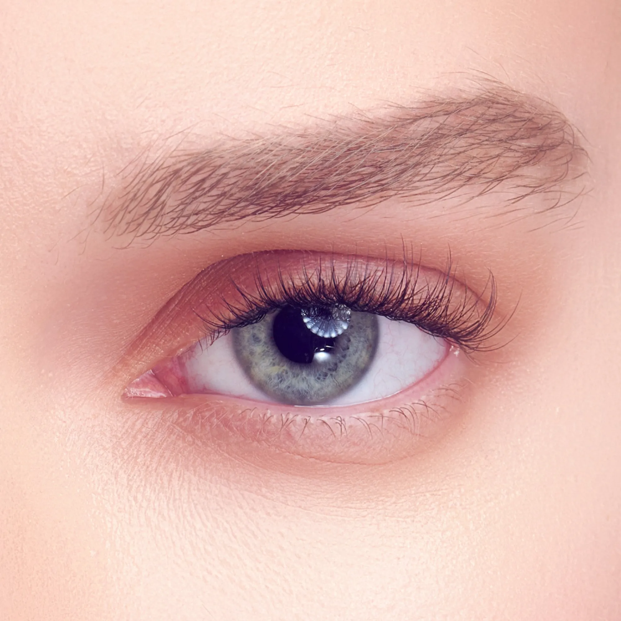 Studio|Falscara Studio>Falscara Petite Dainty | 54 Wisps