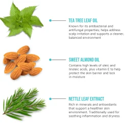 Hair Care>Kiss Colors and Care Tea Tree Oil